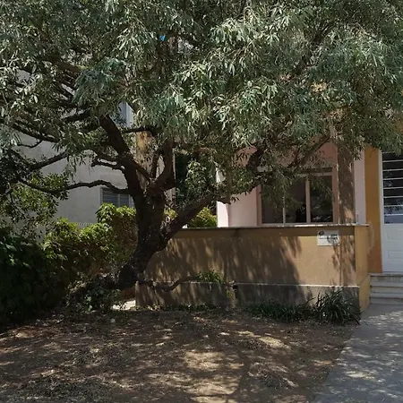 Picchetti Fronte Mare Villa *