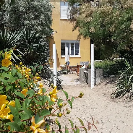 Picchetti Fronte Mare Lido di Jesolo
